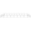 Dog Kennel Silver 581.3 ftÂ² Steel