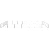 Dog Kennel Silver 452.1 ftÂ² Steel