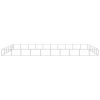 Dog Kennel Silver 645.8 ftÂ² Steel